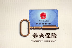 小贴士:一次性补交养老保险 小贴士:一次性补交养老保险