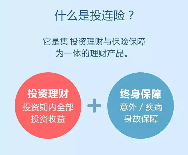 投连险收益回暖,给理财新手攒信心